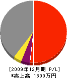 サイトー美研 損益計算書 2009年12月期