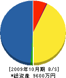 金子工業 貸借対照表 2009年10月期