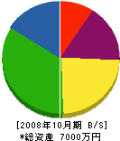 小幡建設興業 貸借対照表 2008年10月期