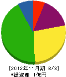 メイゾン岩沢 貸借対照表 2012年11月期