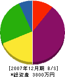 青木電業社 貸借対照表 2007年12月期