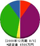湖青美工 貸借対照表 2008年12月期
