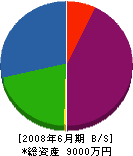 新田造園 貸借対照表 2008年6月期