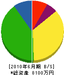 竹田建設 貸借対照表 2010年6月期