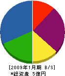 宇田 貸借対照表 2009年1月期