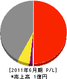 日本グリーンシステム 損益計算書 2011年6月期