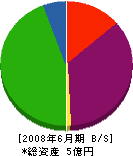 泰斗工業 貸借対照表 2008年6月期