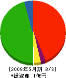 鈴木プロモーション 貸借対照表 2008年5月期