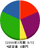 青山組 貸借対照表 2008年3月期