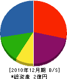 松崎工務店 貸借対照表 2010年12月期