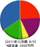 竹内総業 貸借対照表 2011年12月期