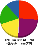 大晃硝子店 貸借対照表 2009年12月期