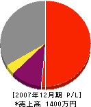 長谷川電工社 損益計算書 2007年12月期
