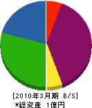 小川電設 貸借対照表 2010年3月期