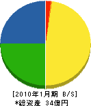 塚原石産興業 貸借対照表 2010年1月期