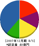 日本機動建設 貸借対照表 2007年12月期