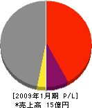 日本道路安全 損益計算書 2009年1月期