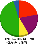 朴田組 貸借対照表 2008年10月期