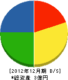 松沢電業 貸借対照表 2012年12月期