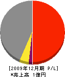 村井建設 損益計算書 2009年12月期