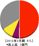 北斗総合電気サービス 損益計算書 2012年3月期