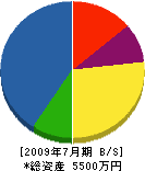 田丸工業所 貸借対照表 2009年7月期