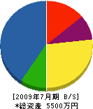 田丸工業所 貸借対照表 2009年7月期 田丸工業所 貸借対照表 2009年7月期