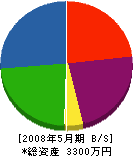 松山建設 貸借対照表 2008年5月期