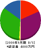 山田工務店 貸借対照表 2008年9月期