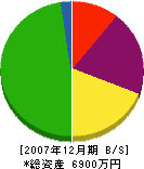 田村工務店 貸借対照表 2007年12月期