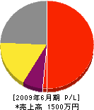 司丸海事 損益計算書 2009年6月期
