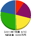 七山谷電機 貸借対照表 2011年7月期