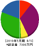 小佐野土建 貸借対照表 2010年5月期