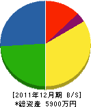 寺島建築事務所 貸借対照表 2011年12月期