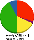 東宝企業 貸借対照表 2010年9月期