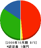 丸隆中山組 貸借対照表 2008年10月期
