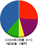 横山木材工業 貸借対照表 2008年3月期