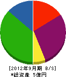 坂井組 貸借対照表 2012年9月期
