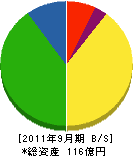 藤吉工業 貸借対照表 2011年9月期