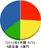 石川組 貸借対照表 2012年6月期