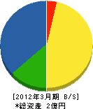 長山電機産業 貸借対照表 2012年3月期