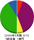佐山建築 貸借対照表 2009年5月期