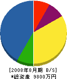 南 貸借対照表 2008年8月期