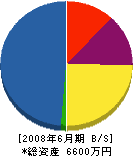 松本建設 貸借対照表 2008年6月期