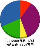 上田建築工務店 貸借対照表 2012年9月期