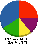 渋谷建設 貸借対照表 2013年5月期