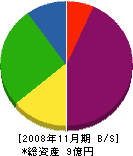江津開発センター 貸借対照表 2008年11月期