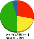 入江製作所 貸借対照表 2013年2月期