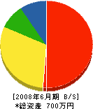 岡松建設工業 貸借対照表 2008年6月期