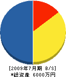 秋篠建設 貸借対照表 2009年7月期